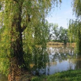 Hercegasszony Birtok, Mezőtúr - Medence/kert