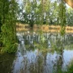 Hercegasszony Birtok Mezőtúr - Medence/kert