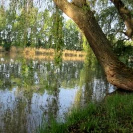 Hercegasszony Birtok, Mezőtúr - Medence/kert