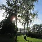 Hercegasszony Birtok Mezőtúr - Medence/kert