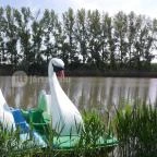 Hercegasszony Birtok Mezőtúr - Medence/kert