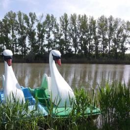 Hercegasszony Birtok, Mezőtúr - Medence/kert