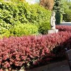 Hotel Kálvária Győr - Medence/kert