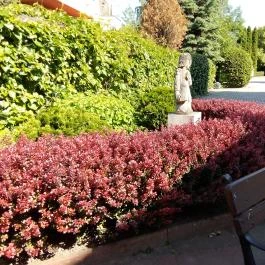 Hotel Kálvária, Győr - Medence/kert