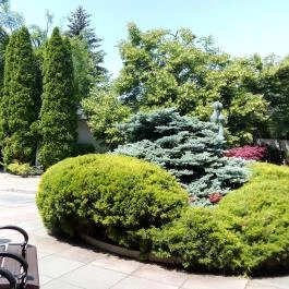 Hotel Kálvária, Győr - Medence/kert