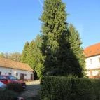 Hotel Kardosfa Zselickisfalud - Külső kép