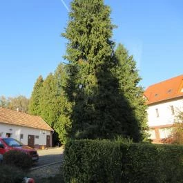 Hotel Kardosfa Zselickisfalud - Külső kép