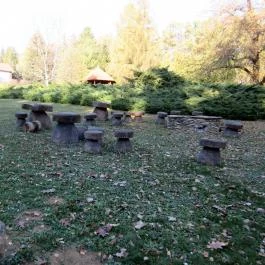 Hotel Kardosfa Zselickisfalud - Medence/kert