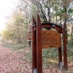 Hotel Kardosfa Zselickisfalud - Környék