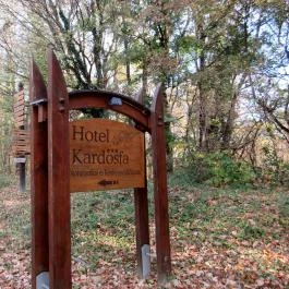 Hotel Kardosfa Zselickisfalud - Környék
