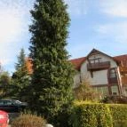 Hotel Kardosfa Zselickisfalud - Külső kép