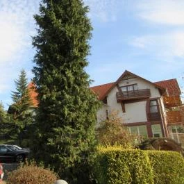 Hotel Kardosfa Zselickisfalud - Külső kép