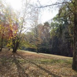 Hotel Kardosfa Zselickisfalud - Környék