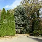 Hotel Kardosfa Zselickisfalud - Környék