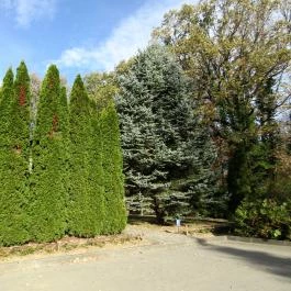 Hotel Kardosfa Zselickisfalud - Környék