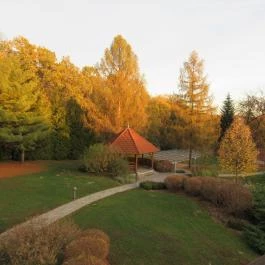 Hotel Kardosfa Zselickisfalud - Környék