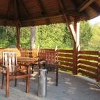 Hotel Kardosfa Zselickisfalud - Medence/kert