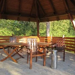 Hotel Kardosfa Zselickisfalud - Medence/kert