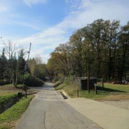 Hotel Kardosfa Zselickisfalud - Környék