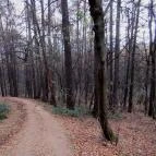 Hotel Lövér Sopron - Környék