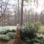 Hotel Lövér Sopron - Medence/kert