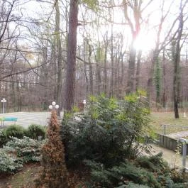 Hotel Lövér Sopron - Medence/kert