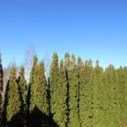 Hotel Narád Mátraszentimre - Környék