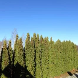 Hotel Narád, Mátraszentimre - Környék