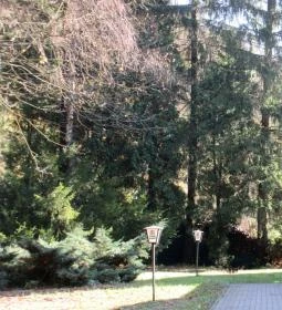 Hotel Odvaskő Étterme