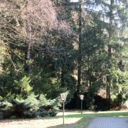 Hotel Odvaskő Étterme, Bakonybél - Egyéb