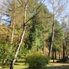 Hotel Odvaskő Étterme Bakonybél - Egyéb