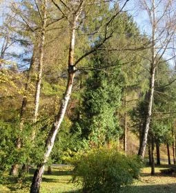 Hotel Odvaskő Étterme