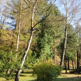 Hotel Odvaskő Étterme, Bakonybél - Egyéb