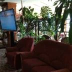 Silvanus Wellness & Konferencia Hotel Visegrád - Egyéb