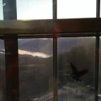 Silvanus Wellness & Konferencia Hotel Visegrád - Belső