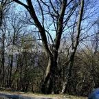 Silvanus Wellness & Konferencia Hotel Visegrád - Külső kép