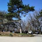 Silvanus Wellness & Konferencia Hotel Visegrád - Külső kép