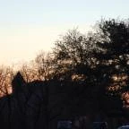 Silvanus Wellness & Konferencia Hotel Visegrád - Környék