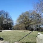 Silvanus Wellness & Konferencia Hotel Visegrád - Medence/kert