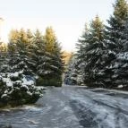 Hotel Szarvaskút Zirc - Környék