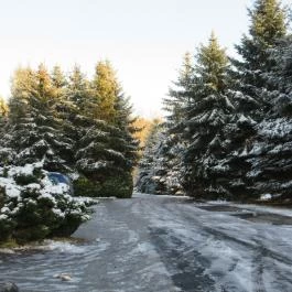 Hotel Szarvaskút Zirc - Környék