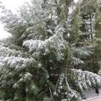 Hotel Szarvaskút Zirc - Környék