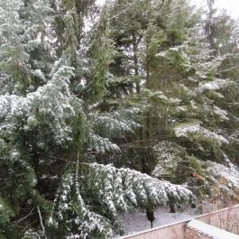 Hotel Szarvaskút Zirc - Környék