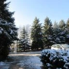 Hotel Szarvaskút Zirc - Környék