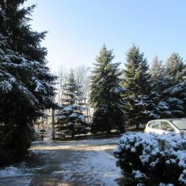 Hotel Szarvaskút Zirc - Környék