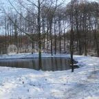 Hotel Szarvaskút Zirc - Környék