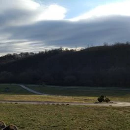 Hubertus Vendégház, Bükkösd - Egyéb