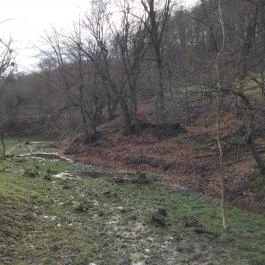 Hubertus Vendégház, Bükkösd - Egyéb