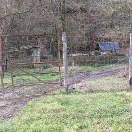 Hubertus Vendégház, Bükkösd - Egyéb