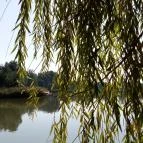 Hunguest Hotel Sóstó Nyíregyháza - Sóstó - Egyéb